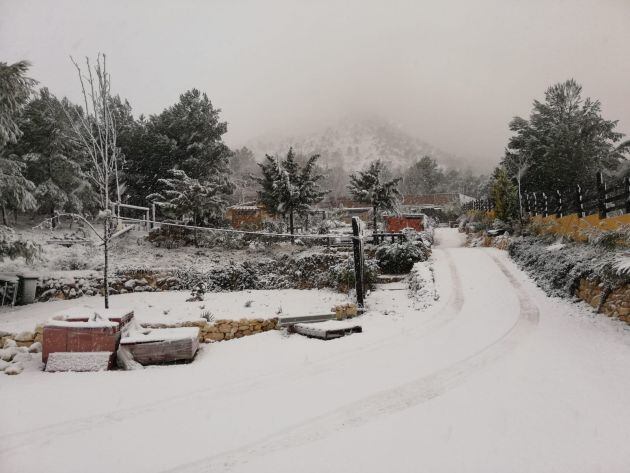 Paraje de Camara nevado