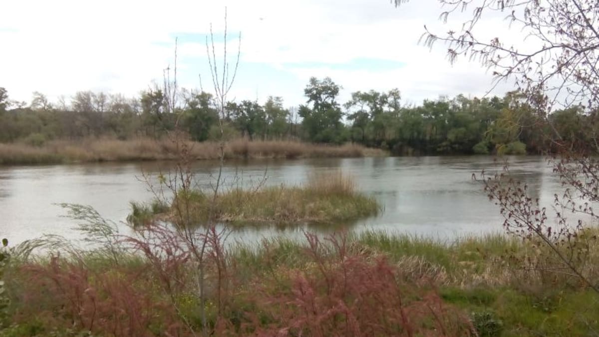El Tajo es un charco que se convertirá en una cloaca llena de mosquitos