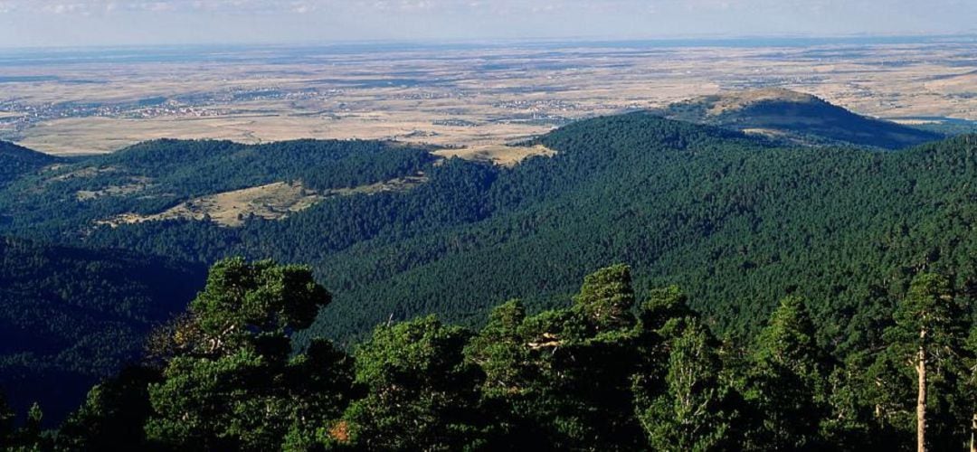 Vista desde lo alto de la montaña