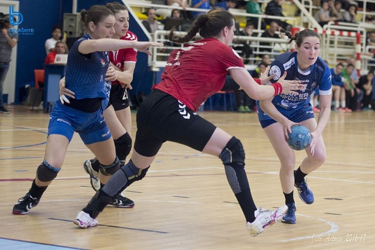 8 equipos en la élite: Berabera en balonmano, Real Sociedad en hockey hierba y fútbol, IDK-Gipuzkoa en baloncesto, Atlético SS en atletismo y sóftbol, Txuri Urdin en hockey hielo y Txuri Berri Curling Donostia en Curling.