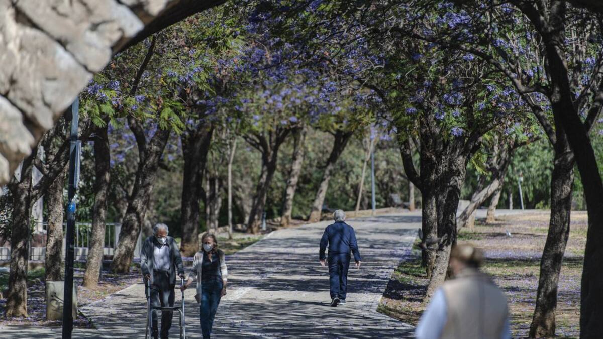 Tres fallecidos en las últimas 24 horas y 20 nuevos curados en Sevilla
