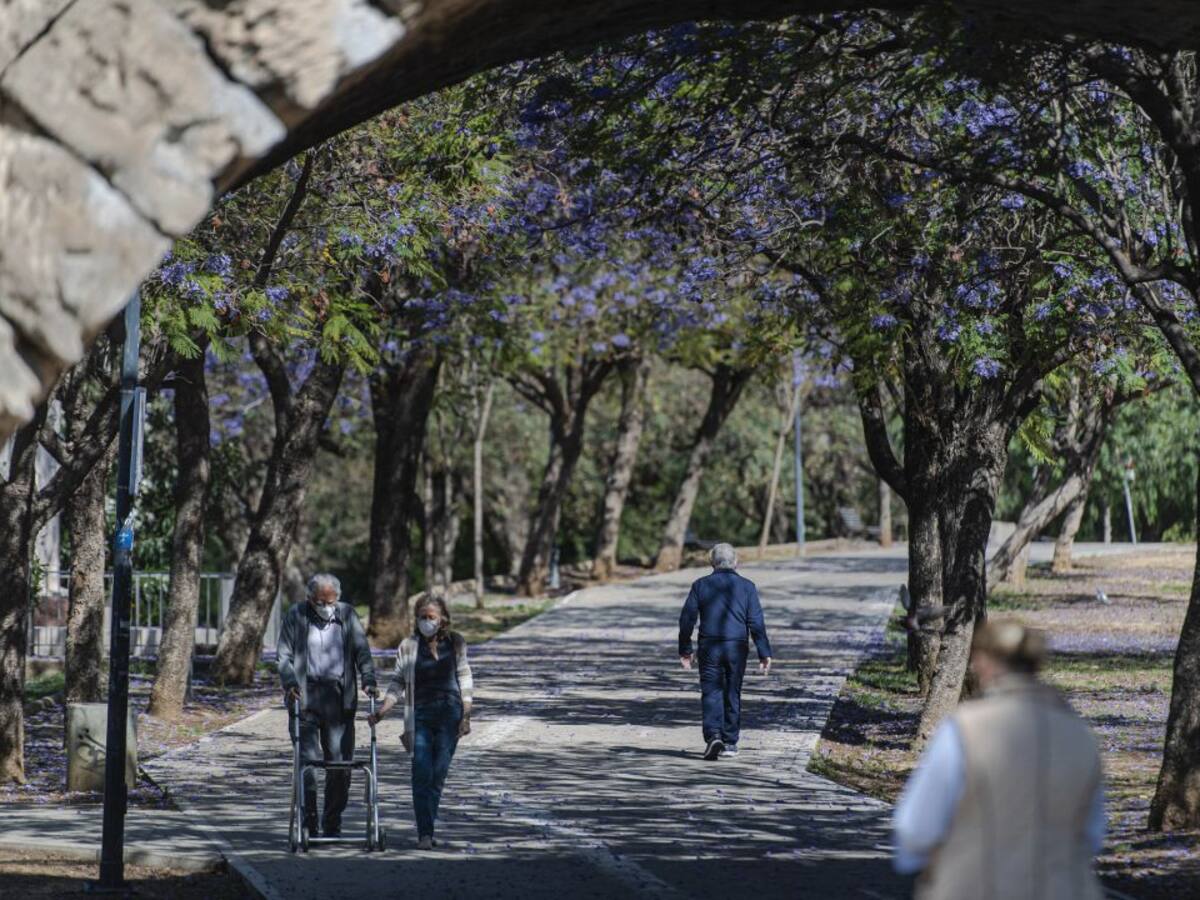 Tres fallecidos en las últimas 24 horas y 20 nuevos curados en Sevilla