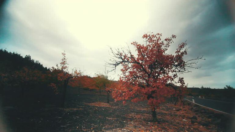 El otoño podría ser algo más lluvioso de lo normal en Canarias