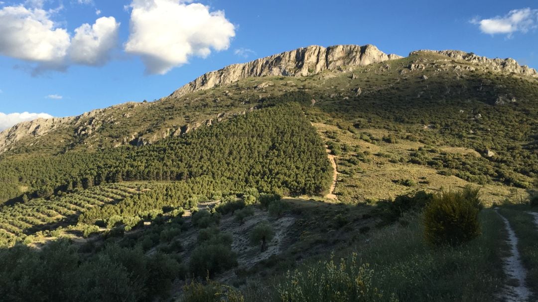 Las zonas verdes de Jaén serán impulsadas por Ayuntamiento y Junta a través del Plan de Grandes Ciudades Turísticas