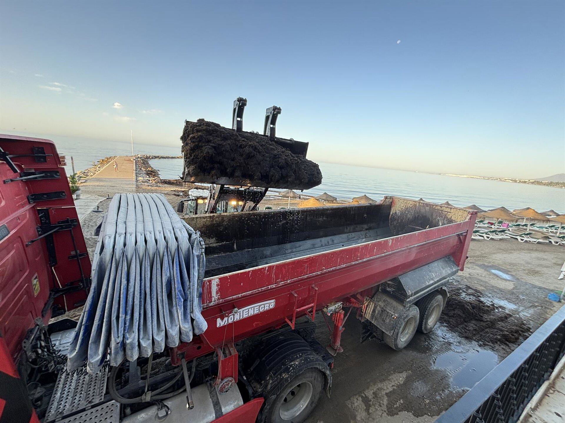 Trabajos de limpieza en las playas de Marbella