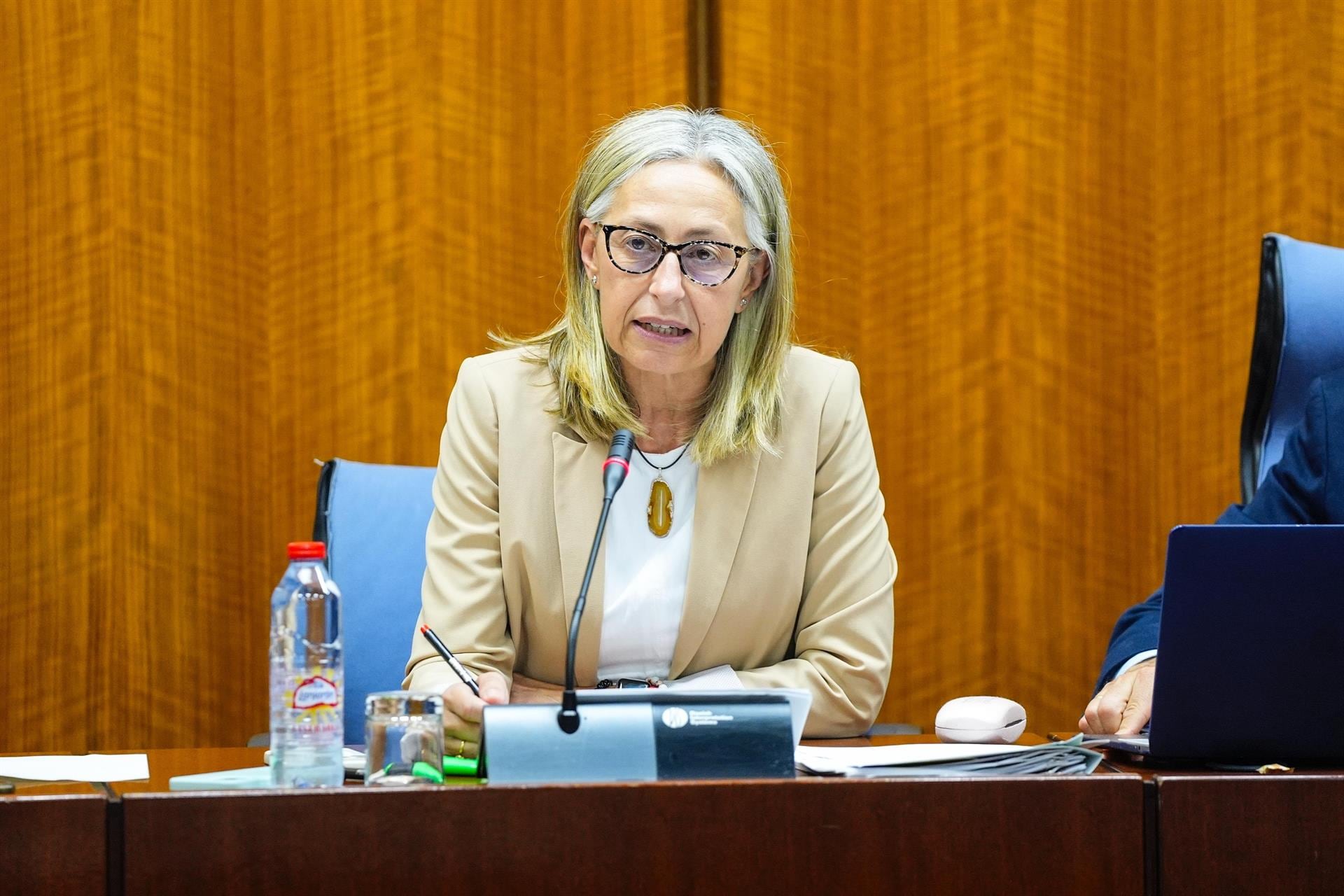 La consejera de Salud, Rocío Hernández, en su comparecencia en comisión parlamentaria de este miércoles 16 de julio