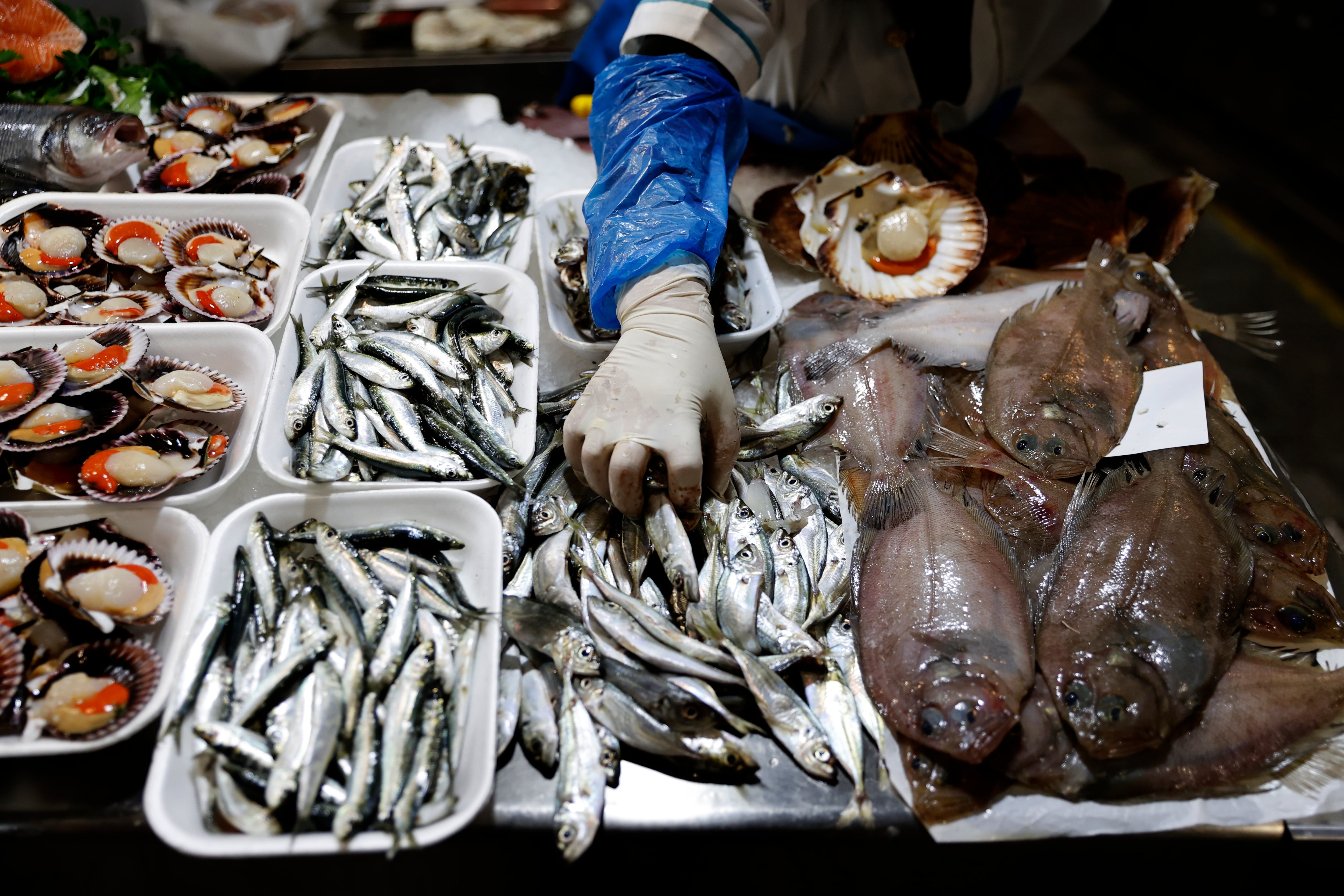 A CORUÑA, 19/12/24.- Una pescadera organiza el pescado en su puesto del mercado de la plaza de Lugo, en la ciudad de A Coruña, donde comienza a notarse el incremento de clientes que adelantan las compras de cara a las fiestas de la Navidad, con un &quot;buen ritmo de ventas y producto freso de primera calidad&quot;. EFE/Cabalar
