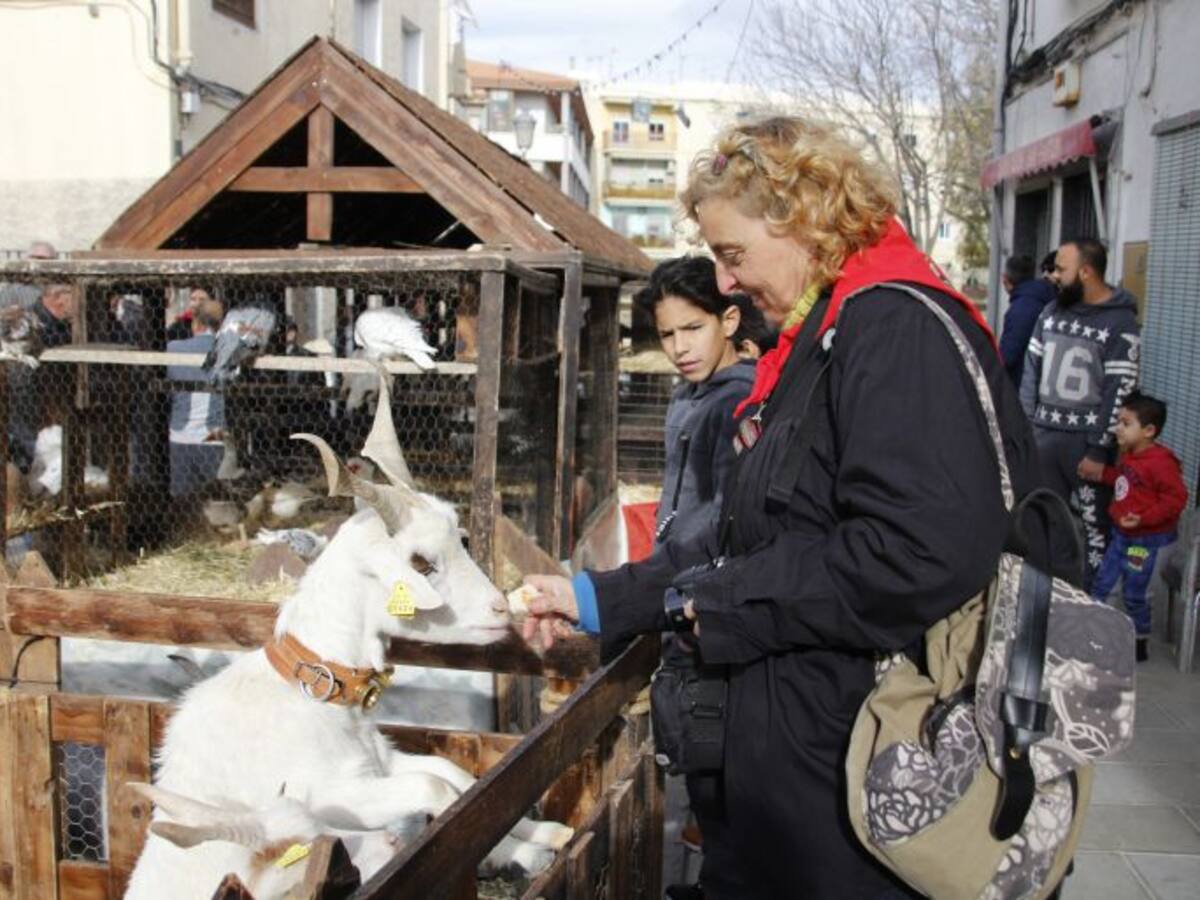 FOTOGALERÍA | Jornada de convivencia Mayordomía de San Antón - Elda 2018