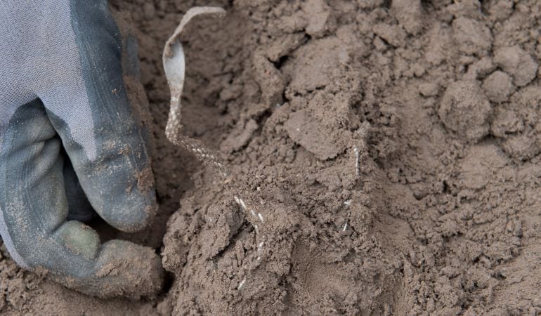 Una excavacición arqueológica