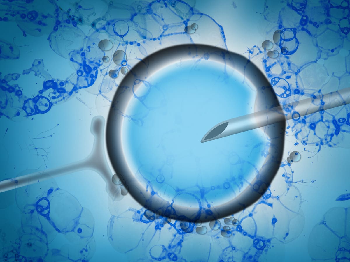 Los hijos de donantes quieren saber. "No buscamos una familia, buscamos la pieza que nos falta"