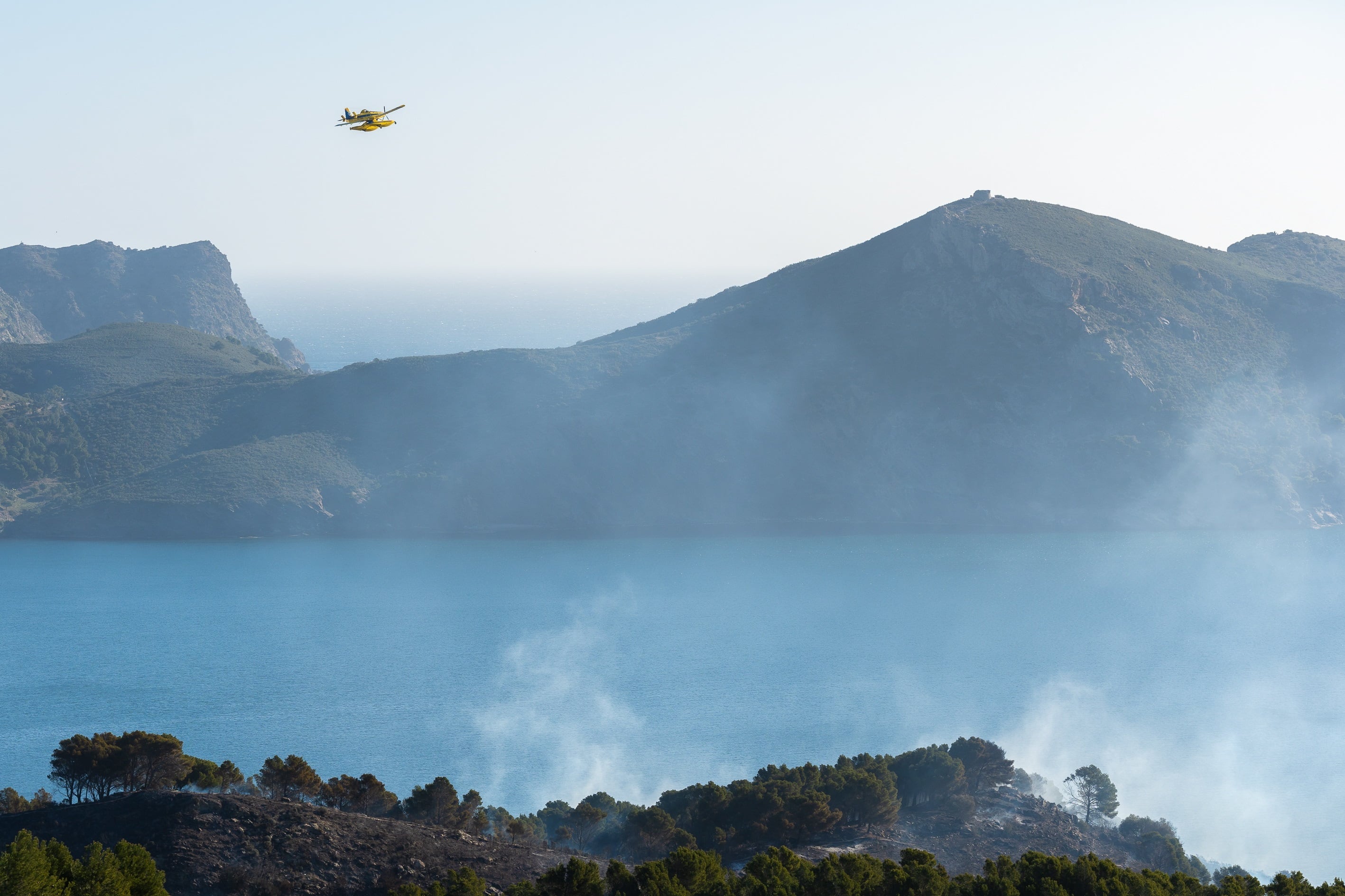 El passat 22 de febrer un incendi va afectar 500 hectàrees del parc natural del Cap de Creus a Roses