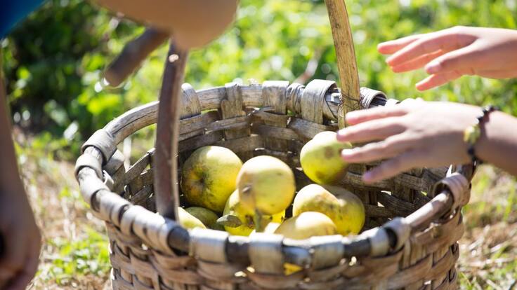 SER Viajeros Euskadi homenaje a la sidra