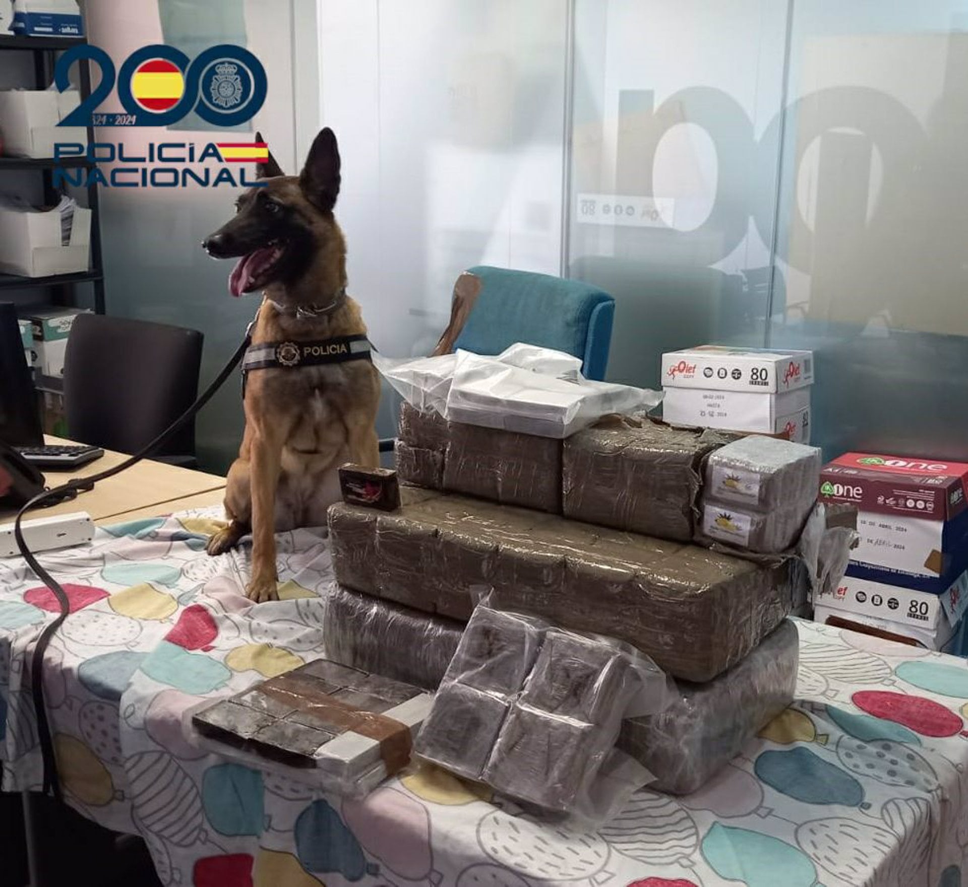 Un perro de la unidad canina de la Policía con la droga incautada a dos detenidos en Alicante.