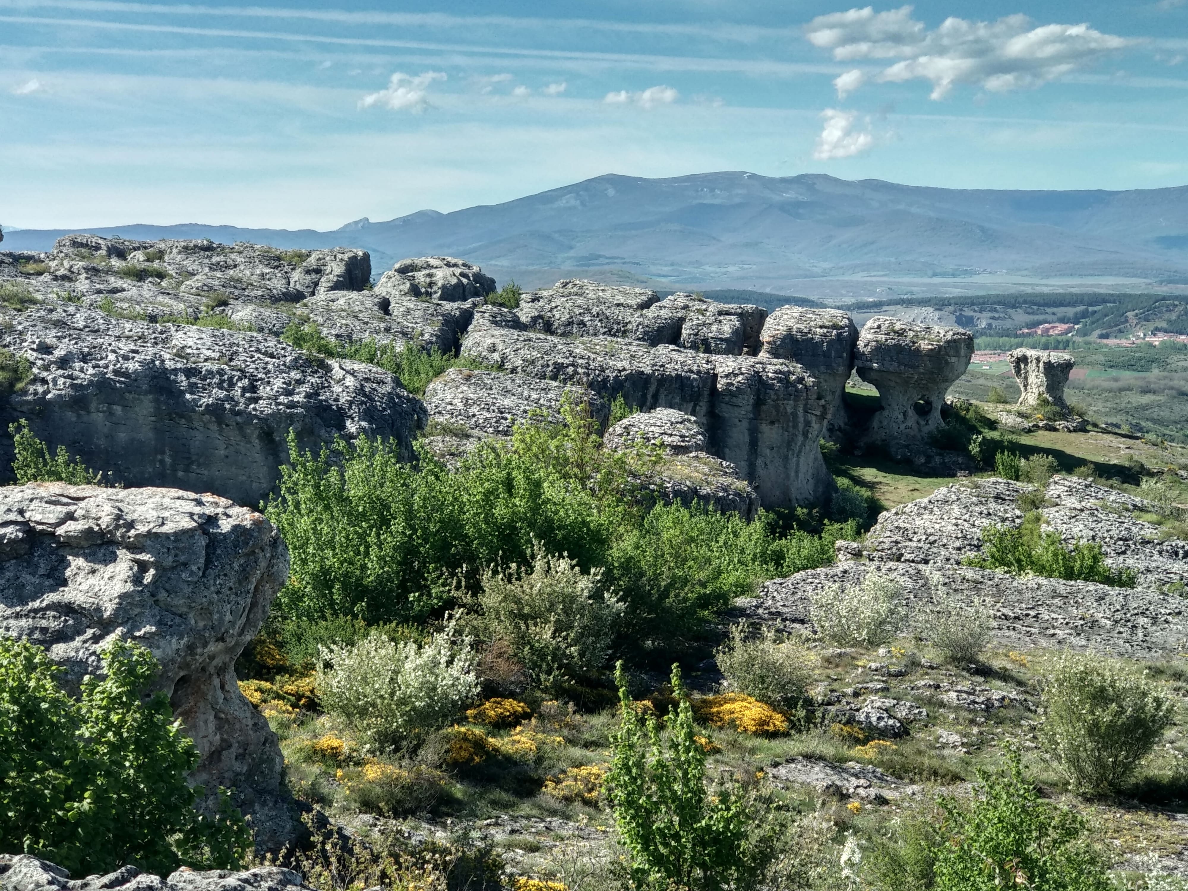 Paraje de Las Tuerces (Geoparque de Las Loras)