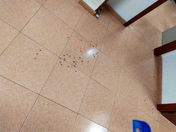 El sindicato CSIF alerta de condiciones "insalubres" en el Instituto de Medicina Legal de Toledo