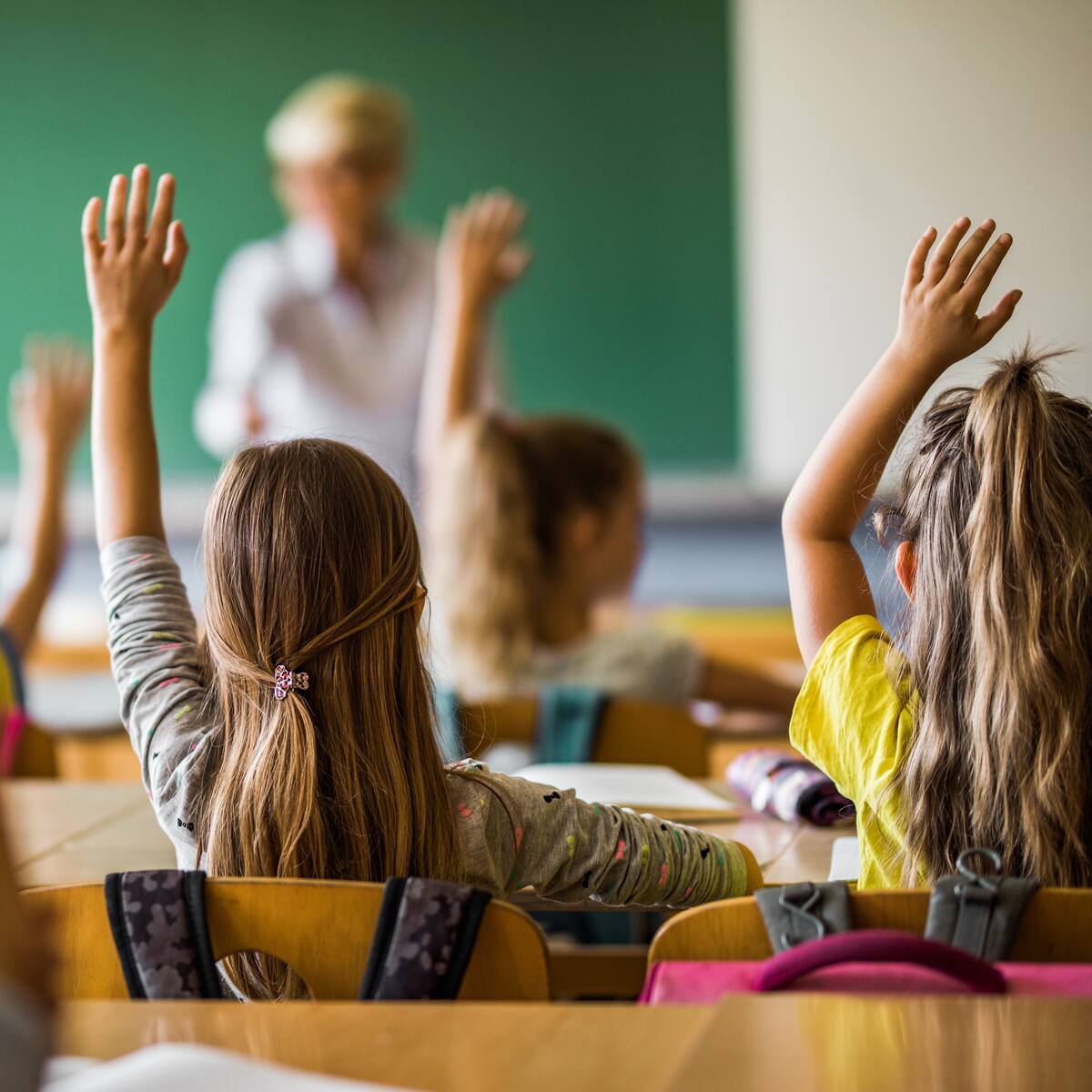 Aprobado el currículo de Primaria más de dos meses después de que arrancara el curso