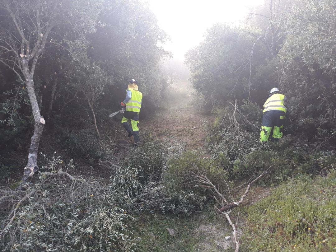 Un momento de las obras.