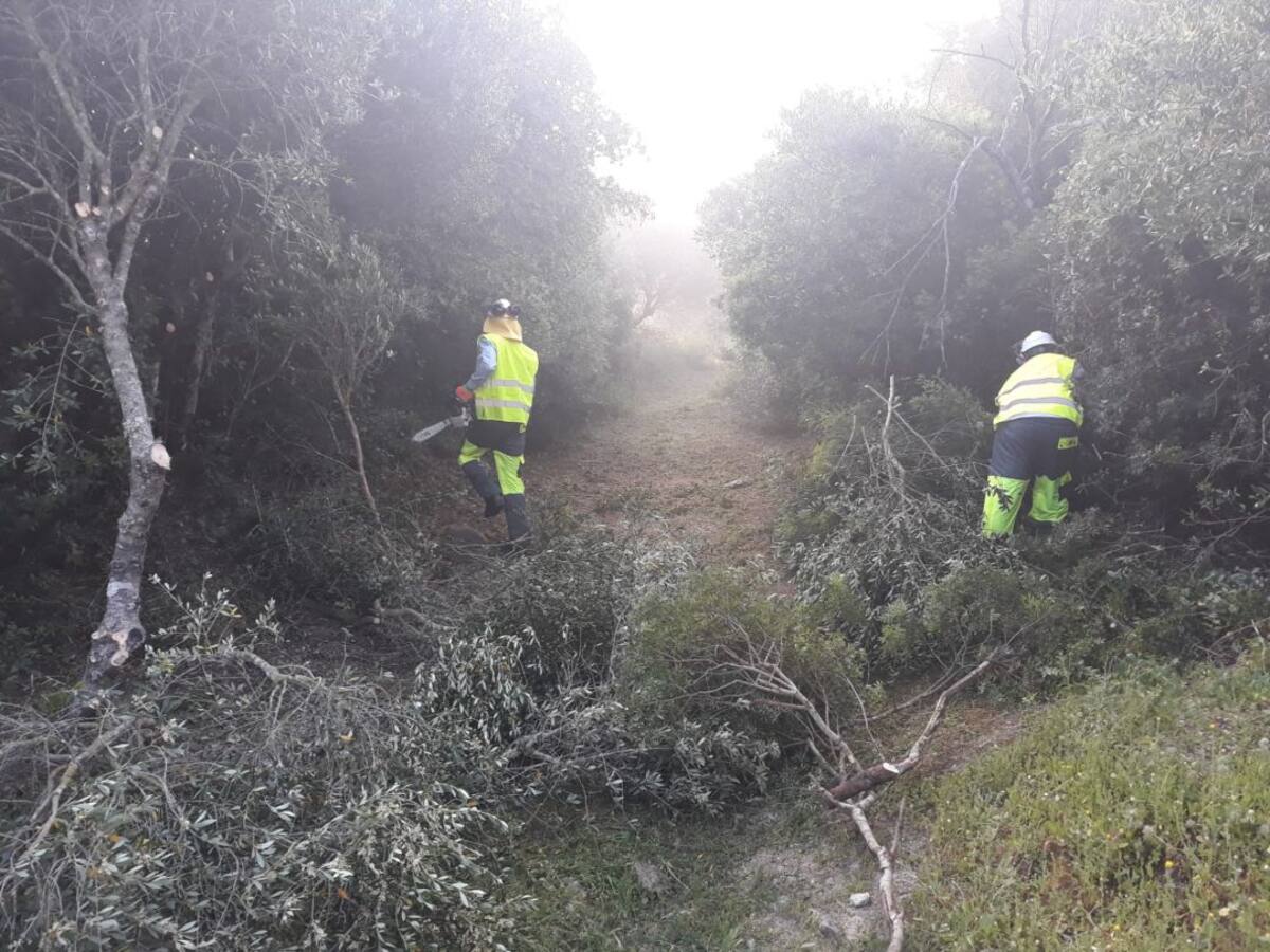 Comienzan las obras para la ruta ciclista en el Corredor Verde dos Bahías a su paso por Los Alcornocales