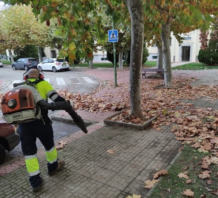 El barrido de hojas es una de las tareas más frecuentes en esta época del año
