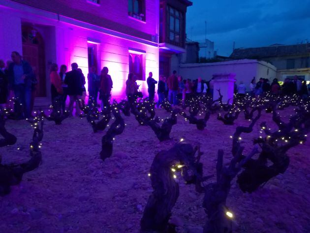 Por la Cruz, la viña reluz