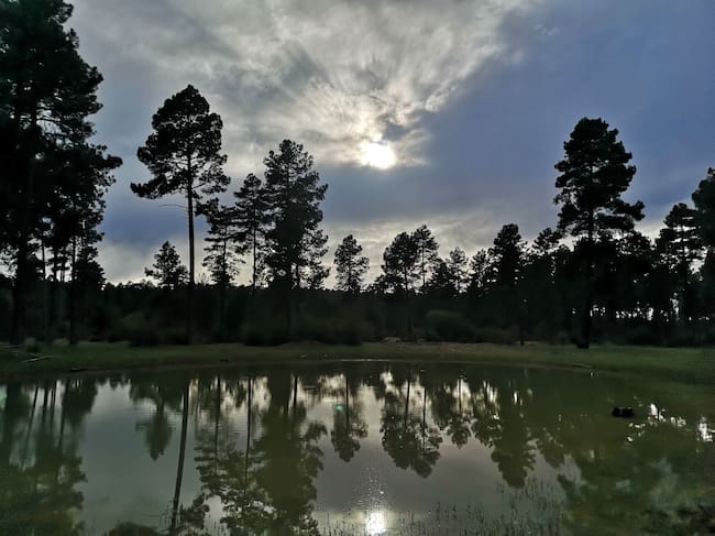 Sumidero de los Palancares, en la Serranía de Cuenca.