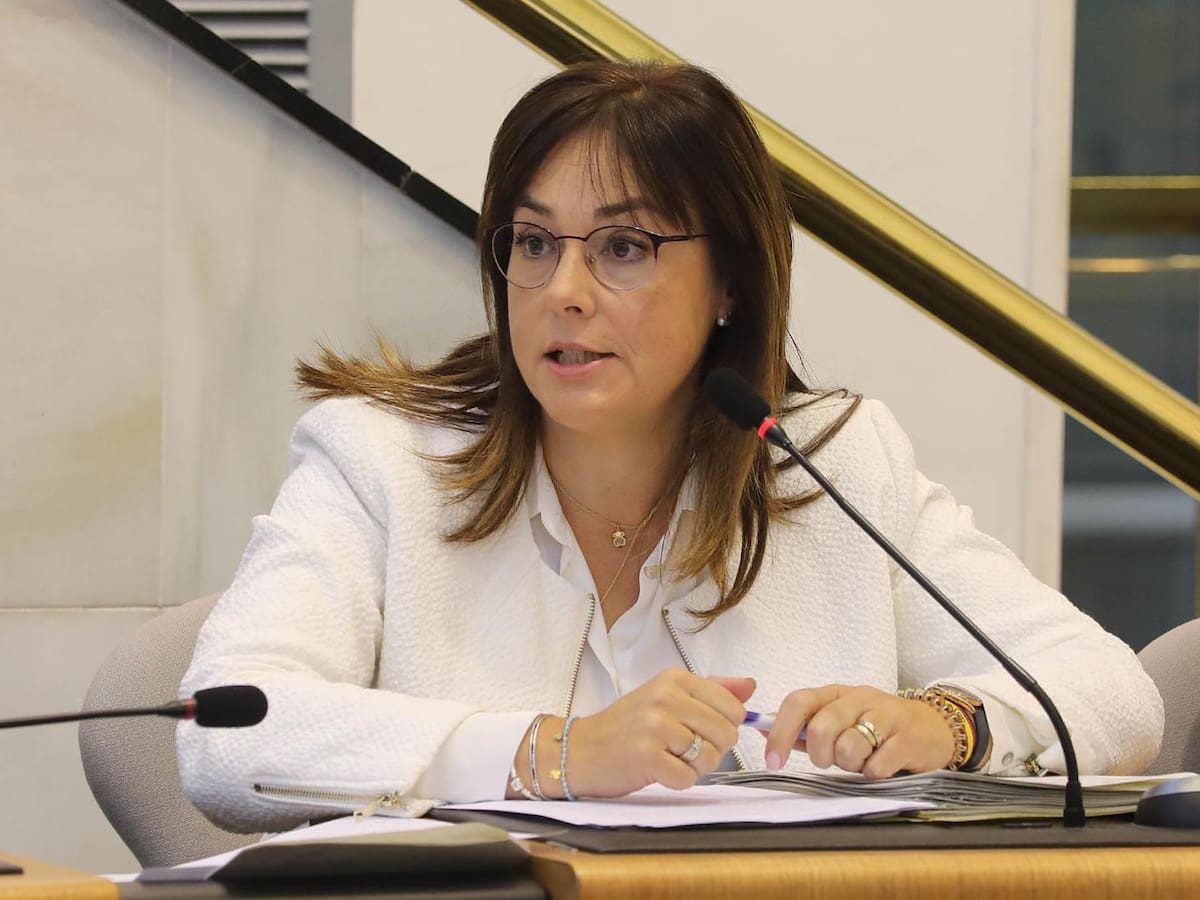 El PP destina a Villena más de 14 millones de euros de la Diputación y denuncia el “castigo” de Sánchez a toda la comarca