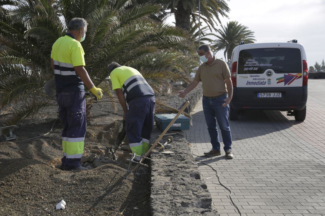 Reposición del tendido eléctrico.