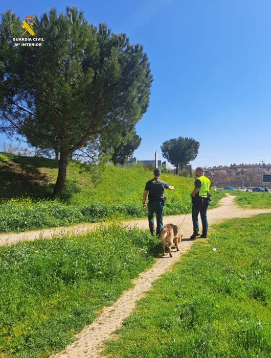 Dispositivo de búsqueda de la Guardia Civil para localizar a una mujer desaparecida en Arroyo de la Encomienda