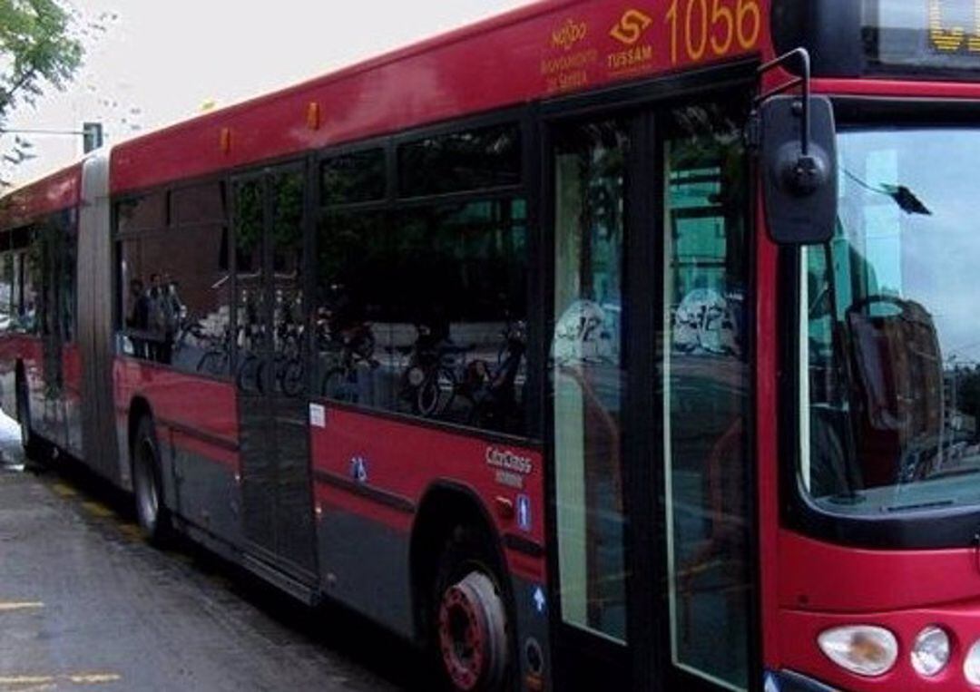 Tussam reordena este jueves cuatro líneas de autobús por las obras de la avenida Cruz Roja