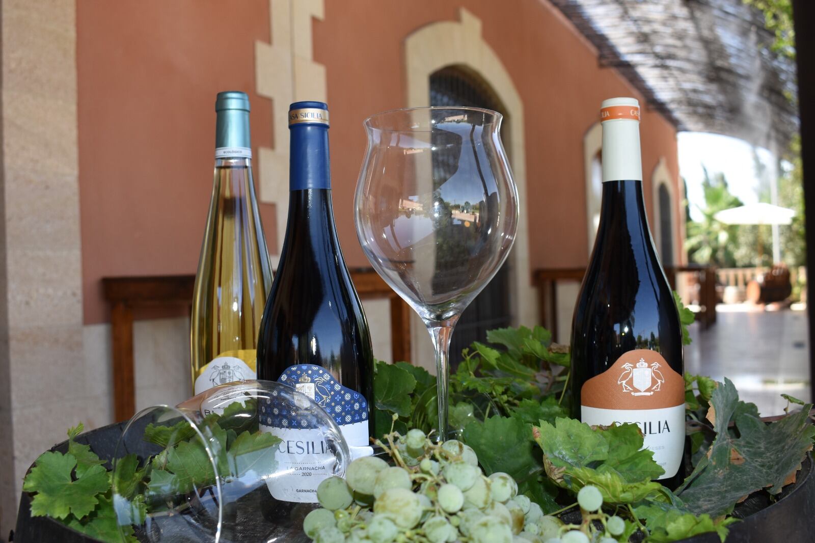 Algunos de los vinos que los visitantes podrán degustar en La Fiesta de la Vendimia de la Bodega Casa Sicilia de Novelda.