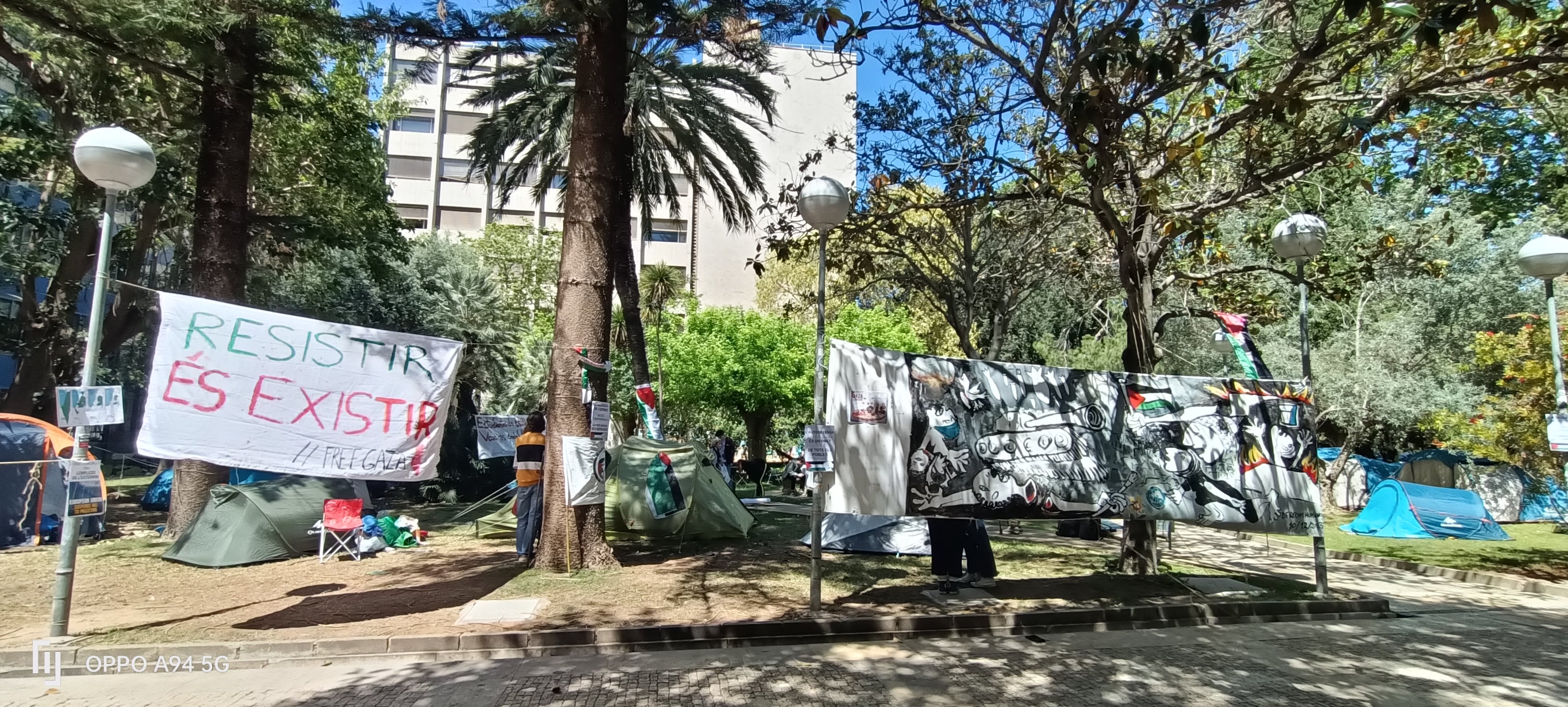 Imagen de la acampada que cumple ya ocho días