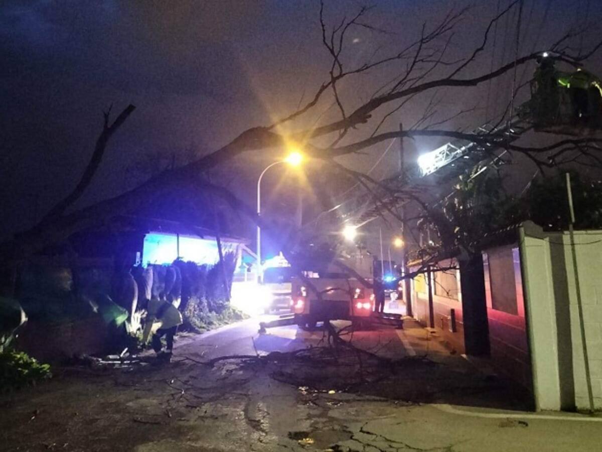 El temporal de viento deja por el momento incidencias leves en Algeciras