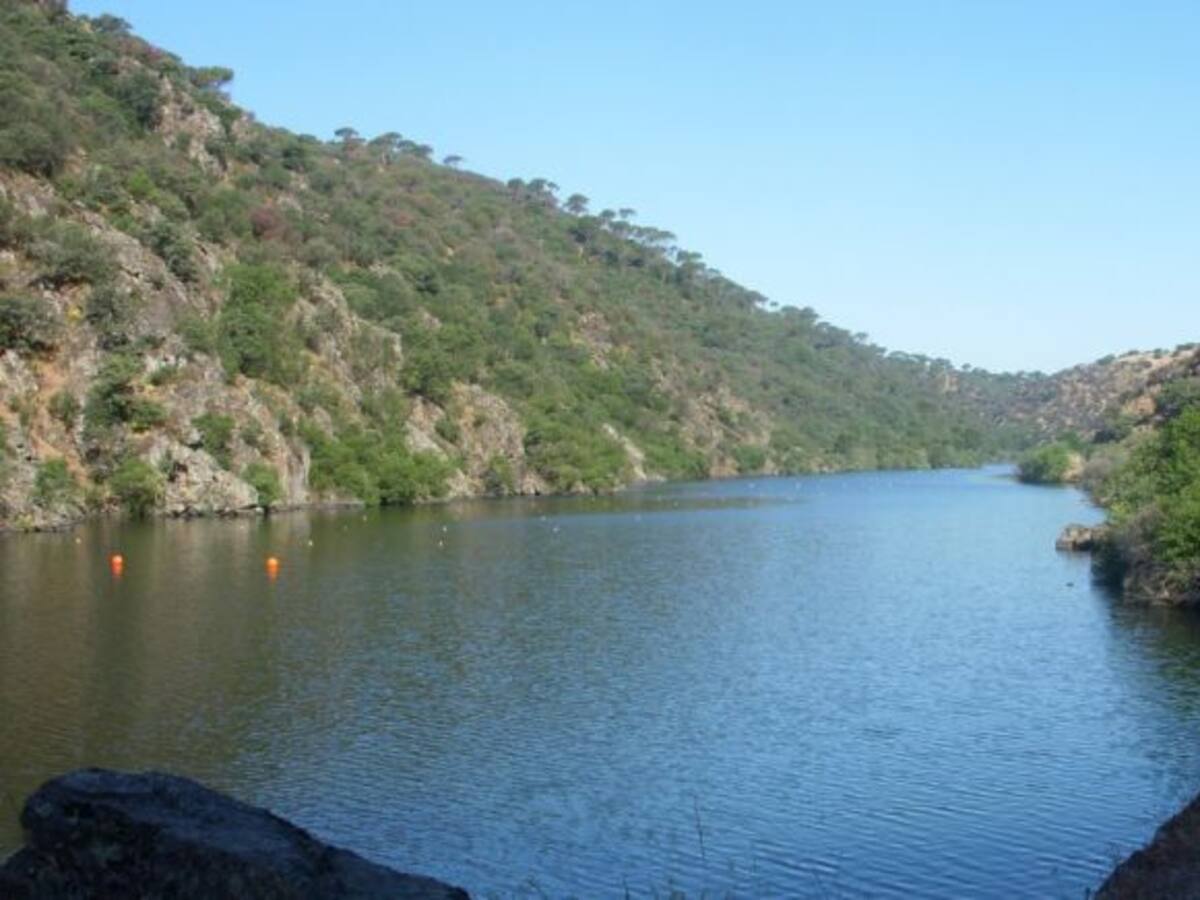 Mal olor en el agua de Toledo