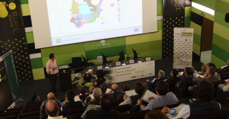 Seminario sobre las nuevas variedades de cultivo de AOVE celebrado en el Museo Terra Oleum.