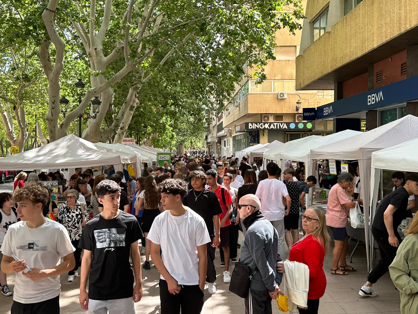 Xàtiva está celebrando hoy la IX Feria Solidaria Intercentros en la Alameda Jaume I