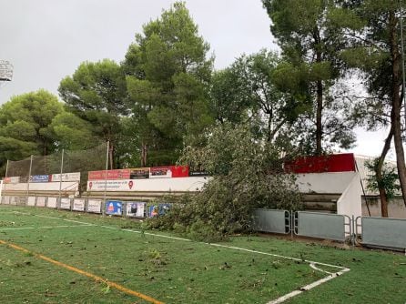 estadio Manuel Delgado Meco