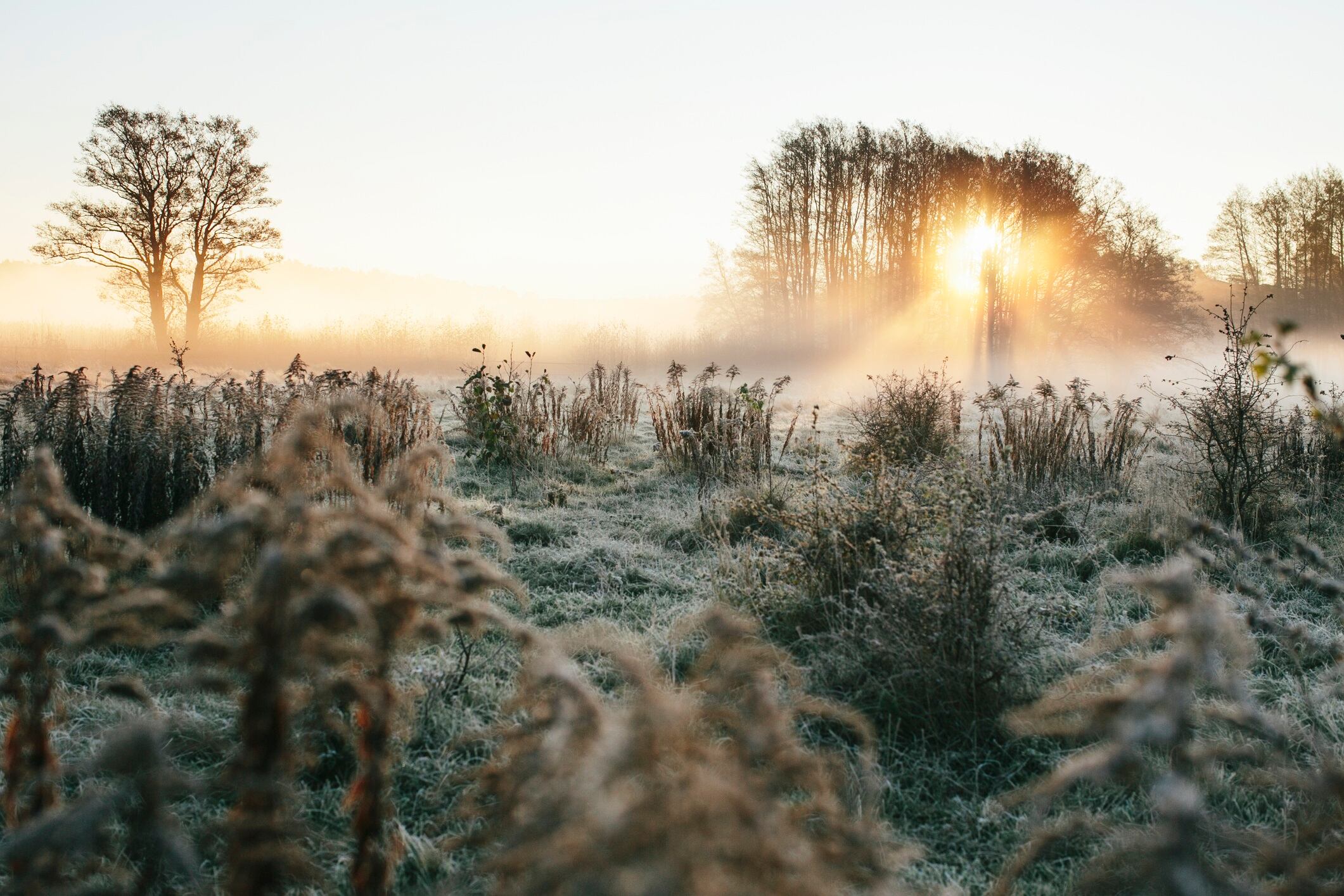 Johner Bildbyra AB+46 8 644 83 30
info@johner.se
sales@johner.se