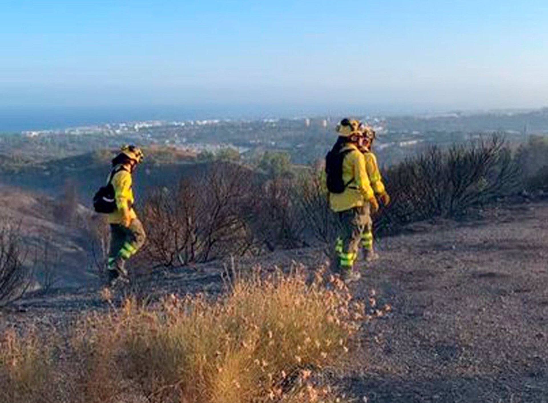 Bomberos forestales en el paraje de Naguelles