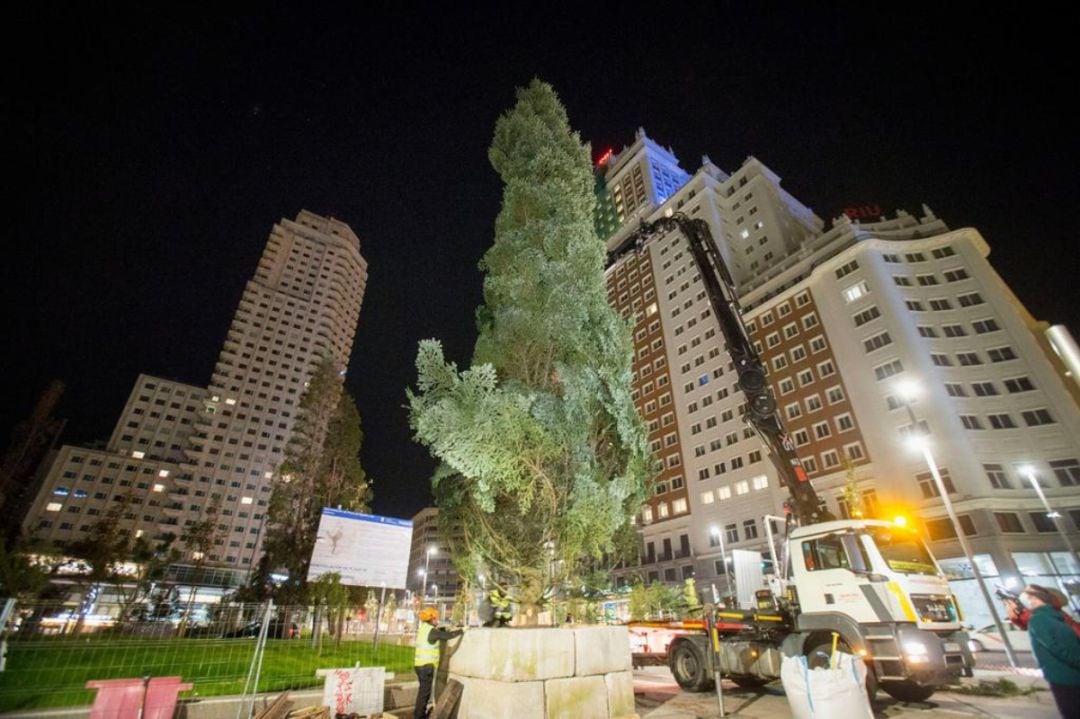 Abeto navideño de Plaza España. 