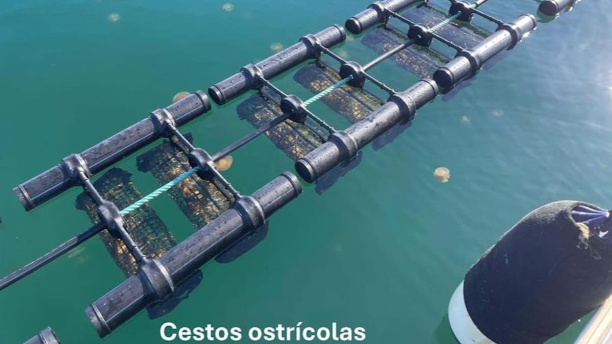 Entrevista Marina Albentosa, proyecto Remedios