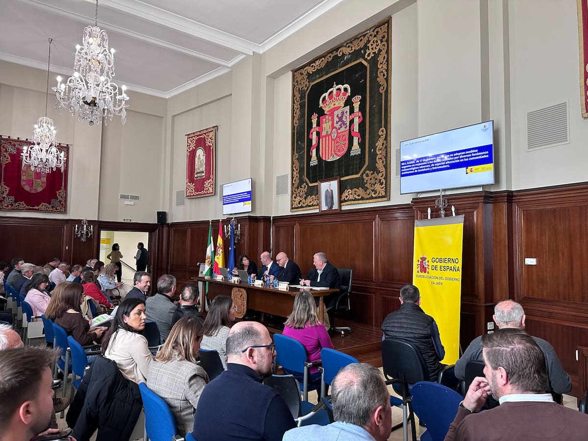 La Subdelegación del Gobierno reúne en Jaén a los ayuntamientos afectados por el temporal para coordinar ayudas y acelerar la reconstrucción