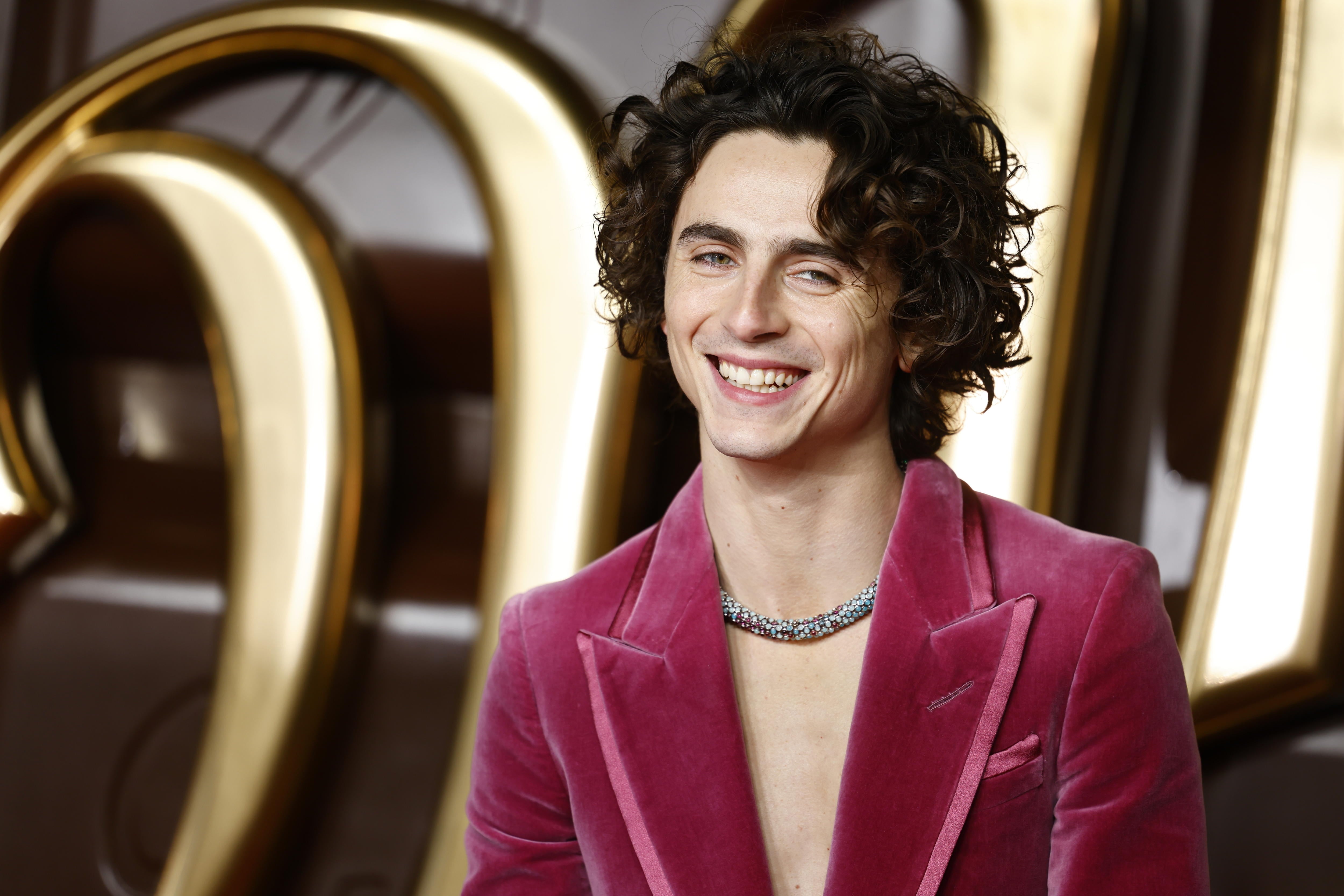 Timothée Chalamet en la premiere de &#039;Wonka&#039; en Londres / EFE/EPA/TOLGA AKMEN