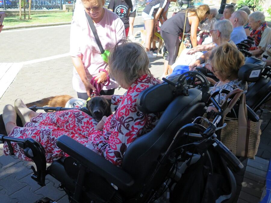 Responsables de la Fundación con mayores