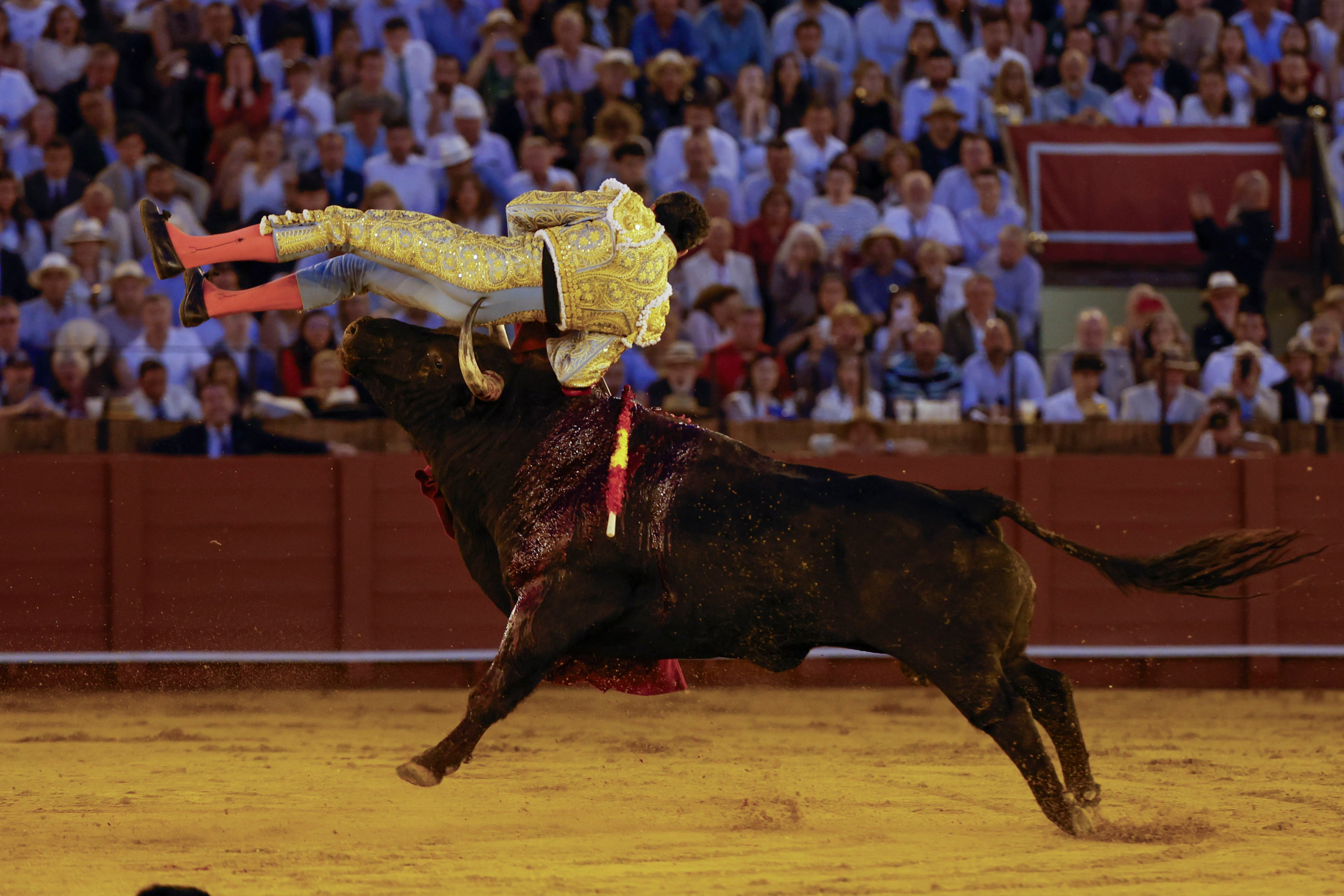 SEVILLA, 05/04/2026.- El diestro David de Miranda volteado por el segundo de su lote durante la corrida celebrada este domingo en la plaza de toros de La Maestranza, en Sevilla. EFE / Julio Muñoz.