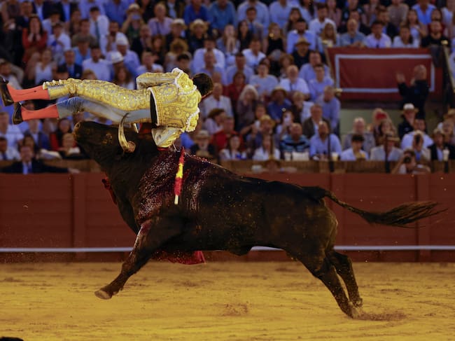 SEVILLA, 05/04/2026.- El diestro David de Miranda volteado por el segundo de su lote durante la corrida celebrada este domingo en la plaza de toros de La Maestranza, en Sevilla. EFE / Julio Muñoz.