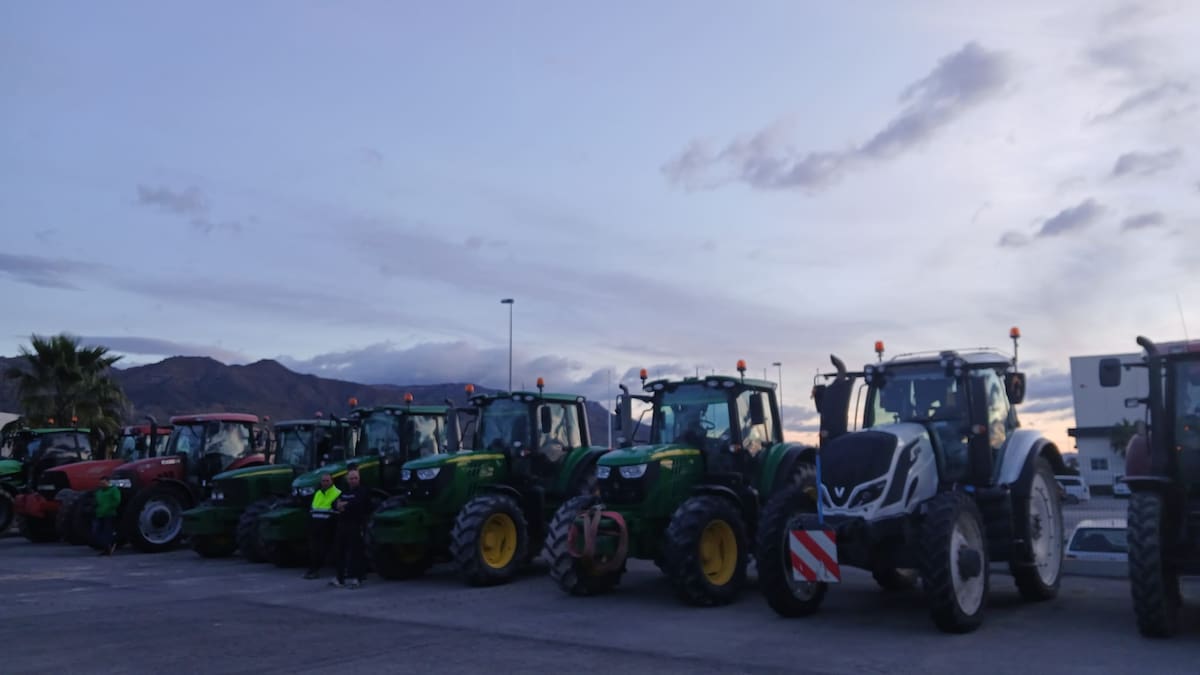 Juan Marín, presidente de la Comunidad de Regantes de Lorca