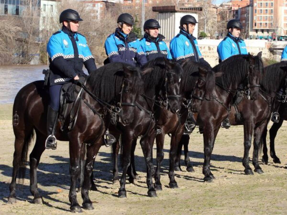 El Ayuntamiento aprueba la cesión de la unidad ecuestre a la Policía Nacional