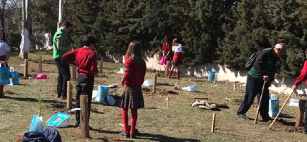 Cerca de 150 escolares han participado en la plantación