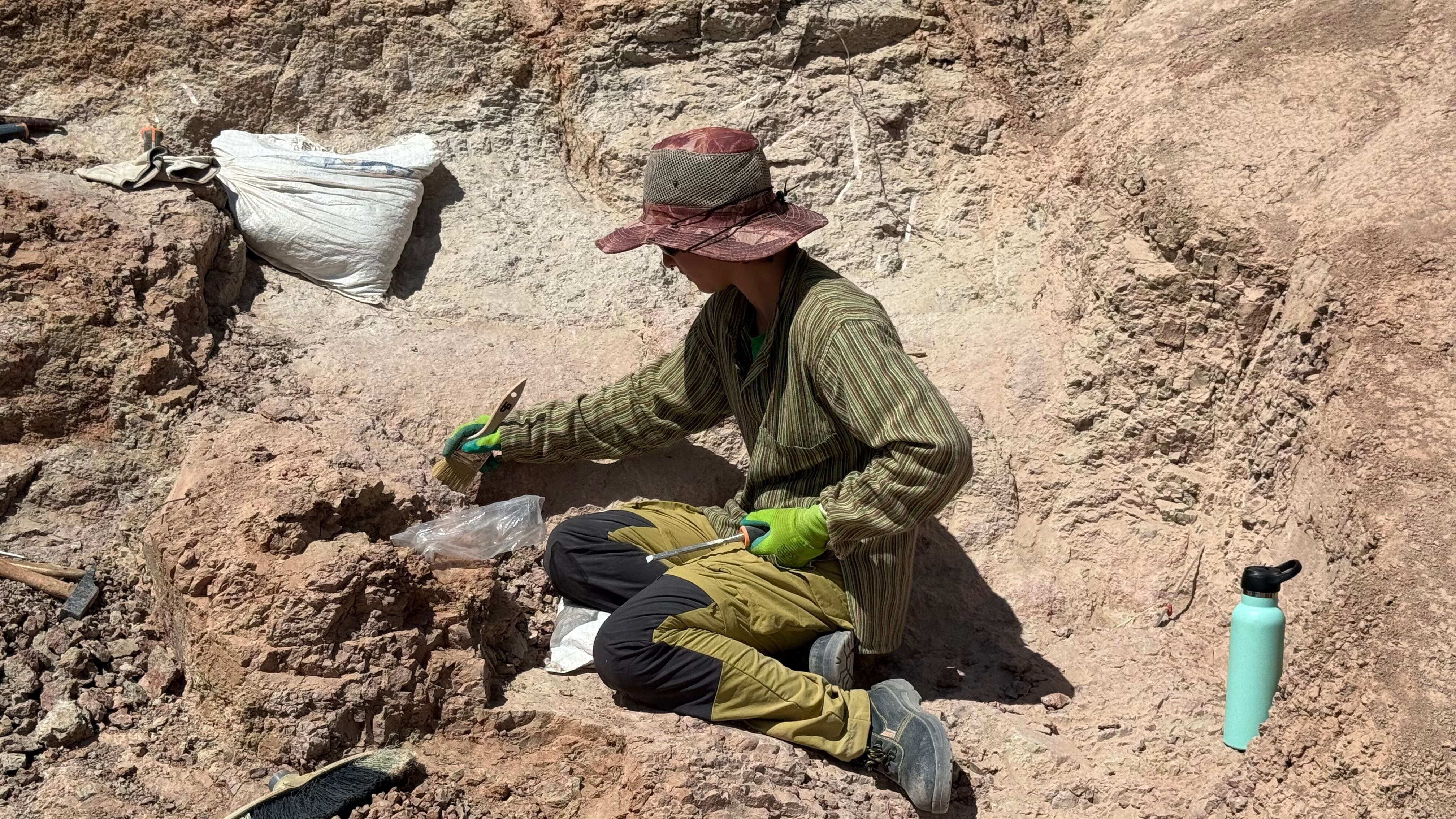 Una excavación paleontológica en el embalse de Buendía descubre restos de huevos de dinosaurio de hace 73 millones de años.
