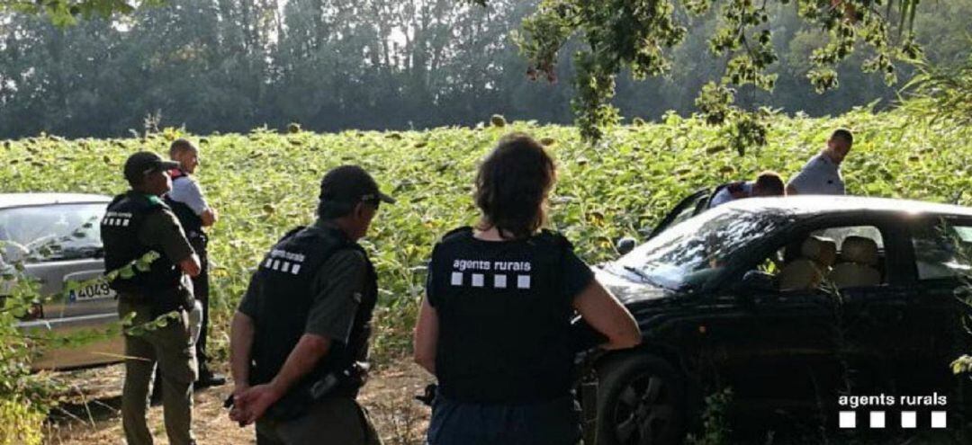 Una actuació contra furtius